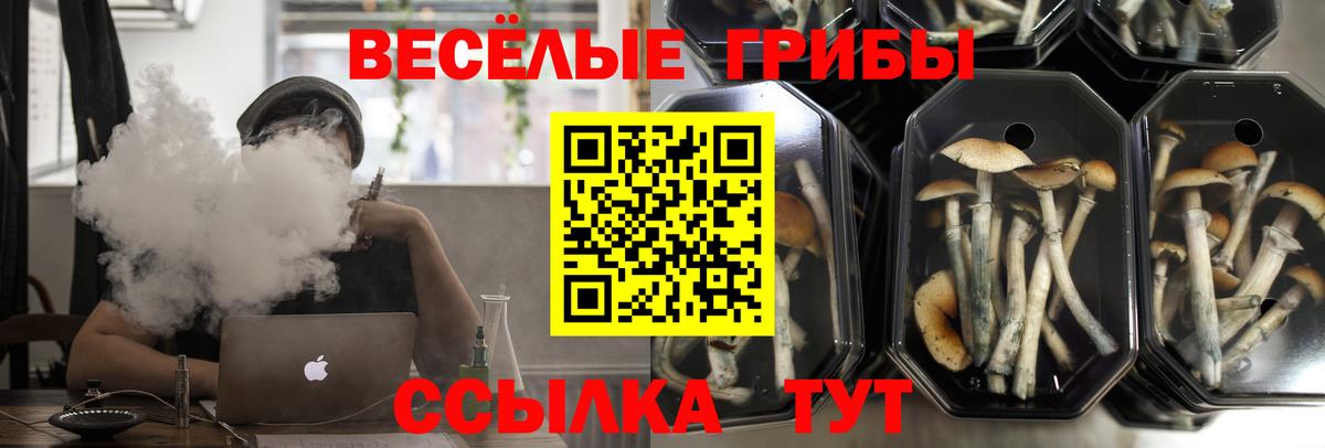 Галлюциногенные грибы GOLDEN TEACHER  Вход с VPN  Усолье-Сибирское  Галлюциногенные грибы Psilocybe 